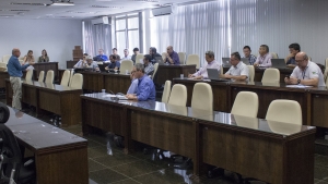 Pesquisadores do CeMEAI fazem balanço e discutem metas