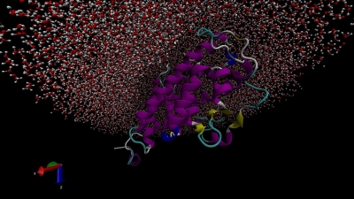 Simulação de Dinâmica Molecular (Packmol)
