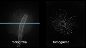 Otimização de Reconstrução de Imagens de Tomografia