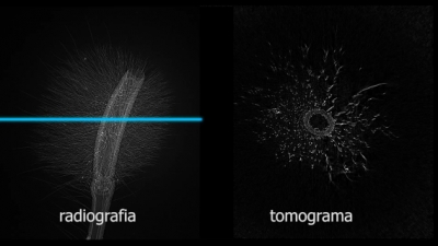 Otimização de Reconstrução de Imagens de Tomografia