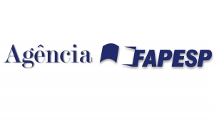 Equação define tempos ideais de diagnóstico para erradicação de epidemias