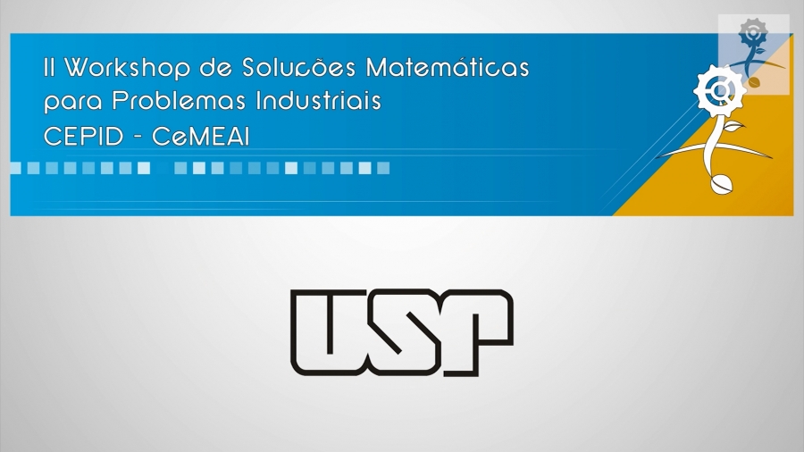 II Workshop de Soluções Matemáticas para Problemas Industriais - USP