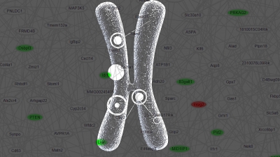 Mapeamento da Correlação de Genes